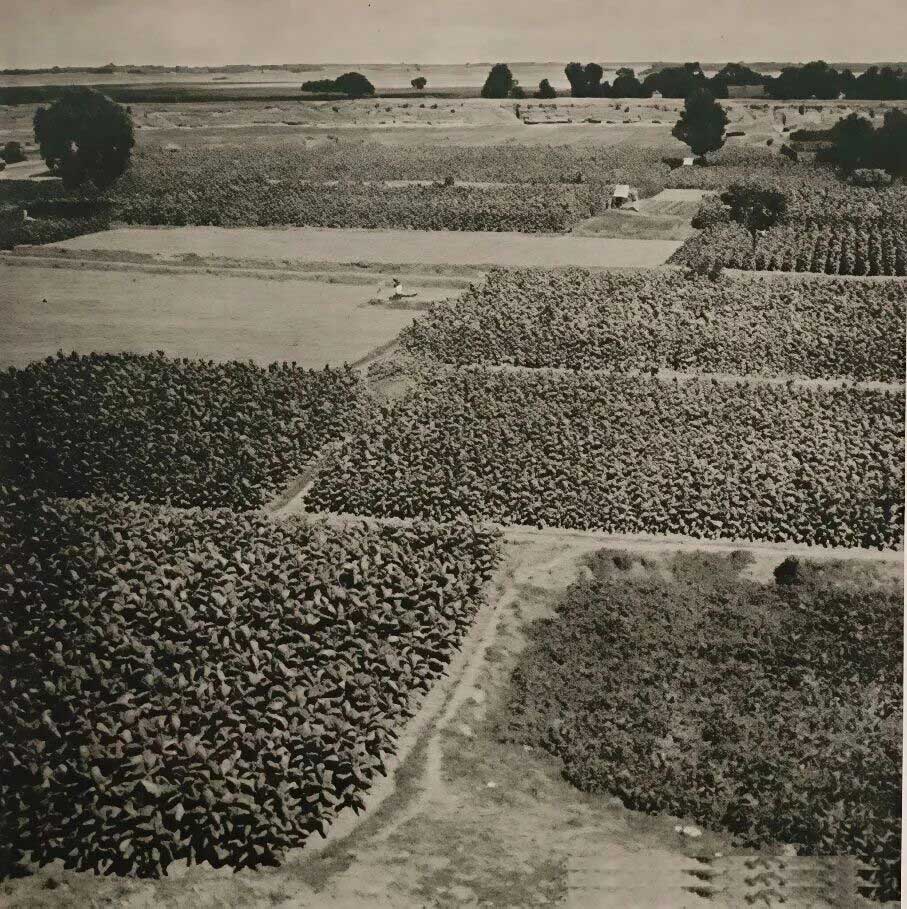 1761298159493514.jpg 42.jpg