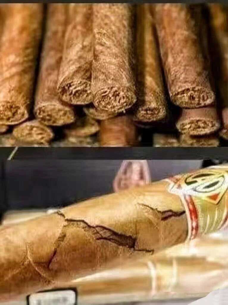 1761803994586340.jpg 25.jpg