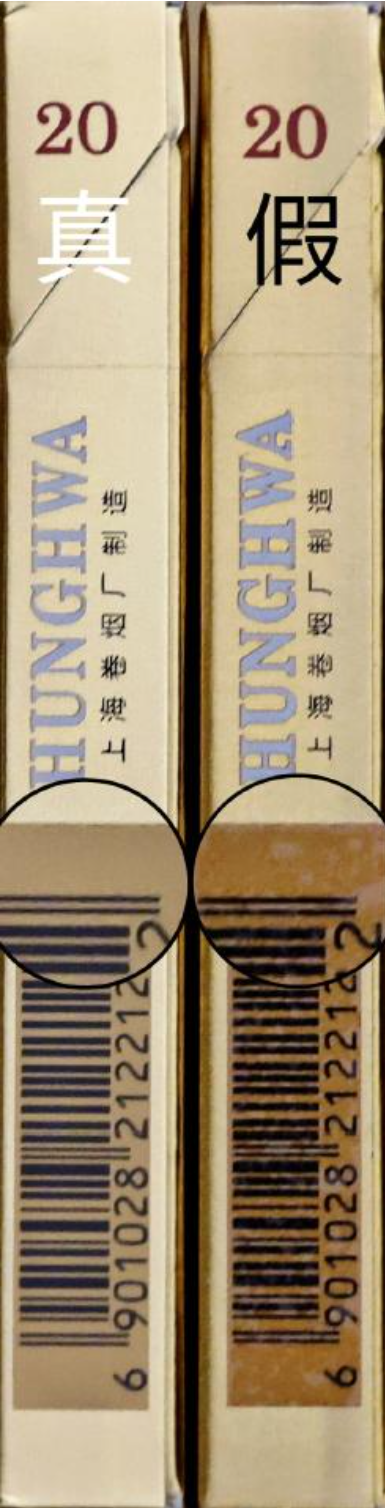 1775551677659191.png 6a252770-2f91-4fa9-916e-f5cccdbb8a80.png