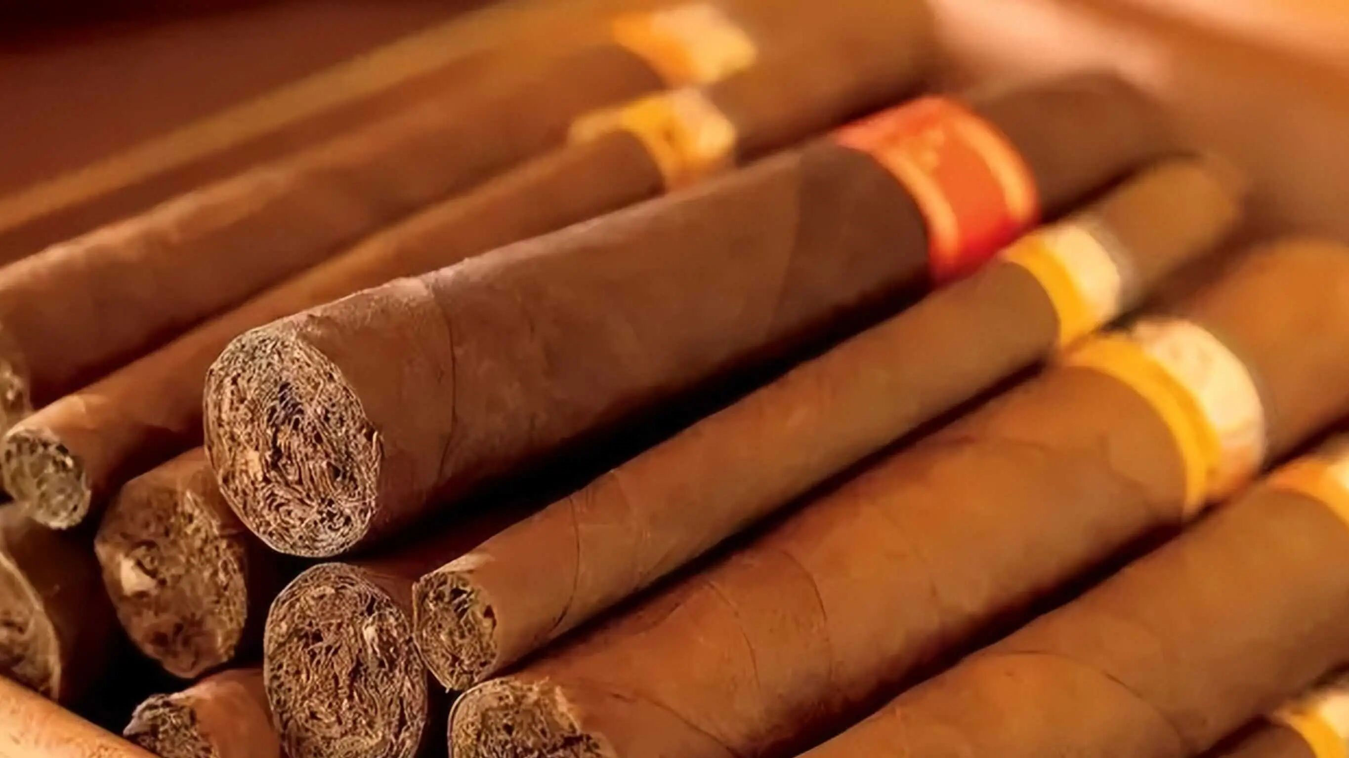 1775641709528789.jpg xuejia.jpg