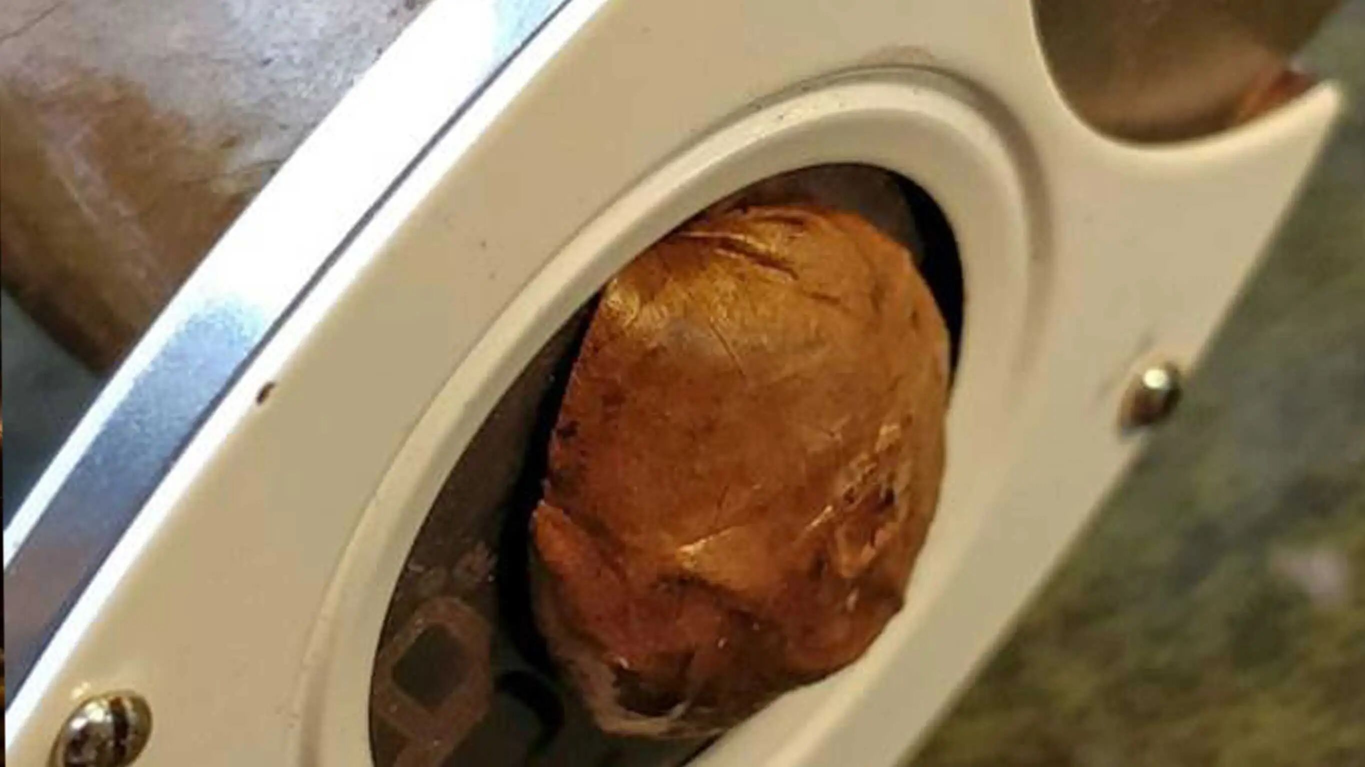 1775641752429745.jpg 7e2efcec-a161-4385-9096-396e85362bcc.jpg