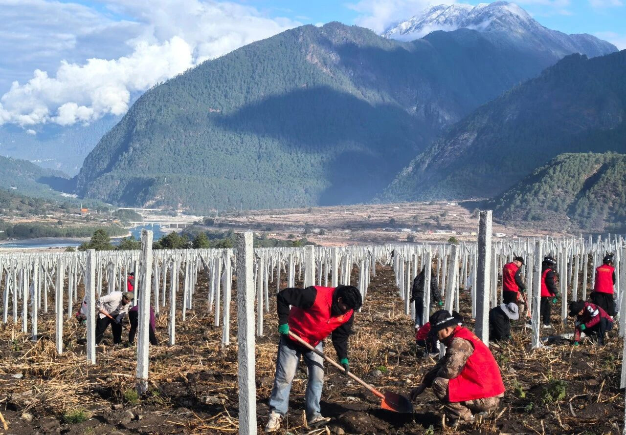 1775724971847264.jpg 7.jpg